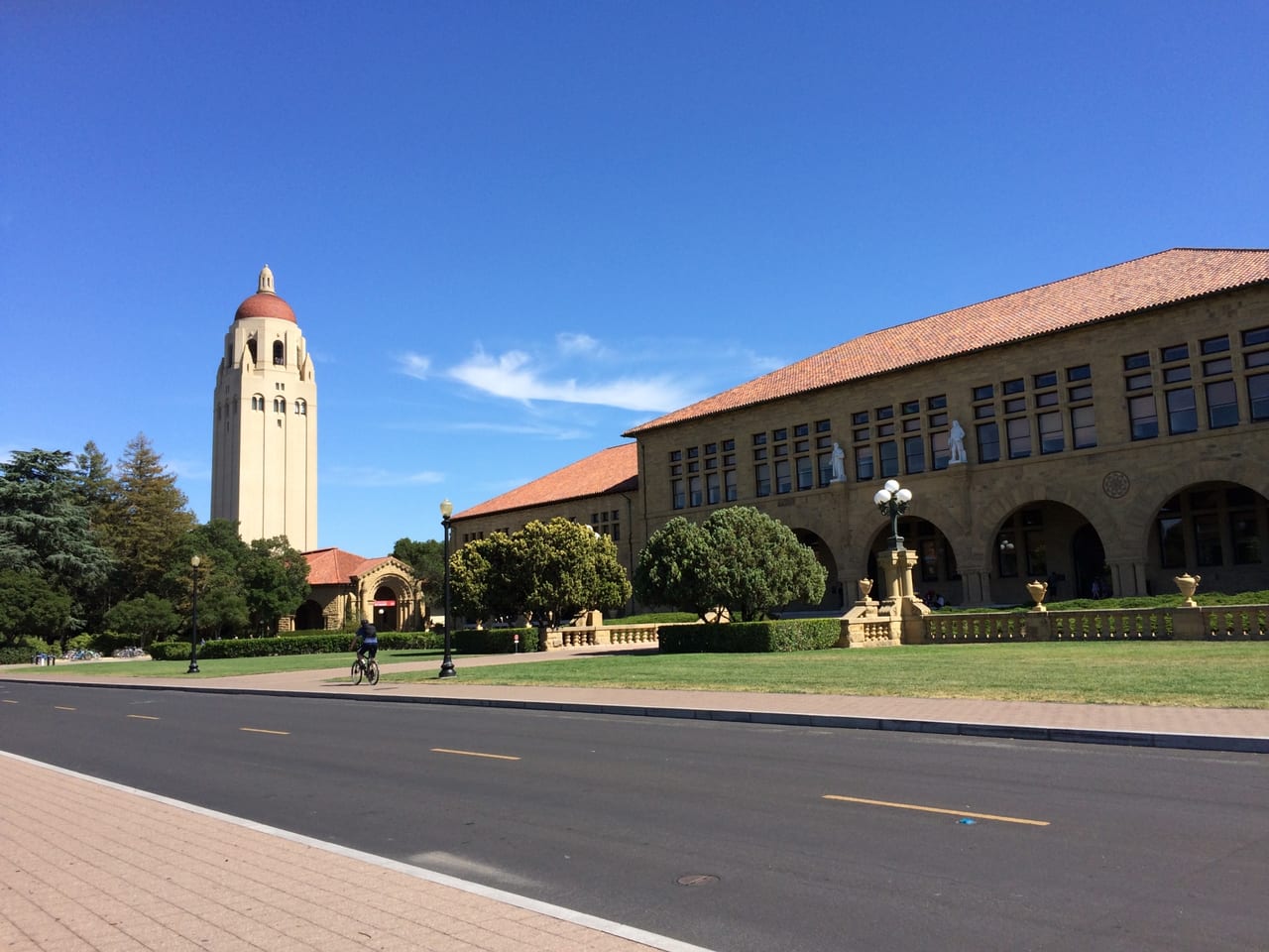 STANFORD TOP IMAGE